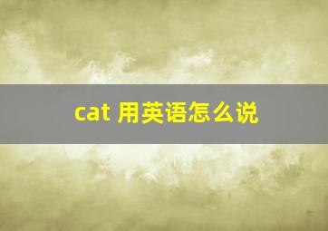 cat 用英语怎么说